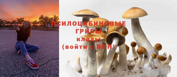 дмт Балабаново
